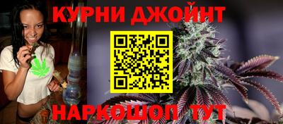 мяу мяу мука Пушкино