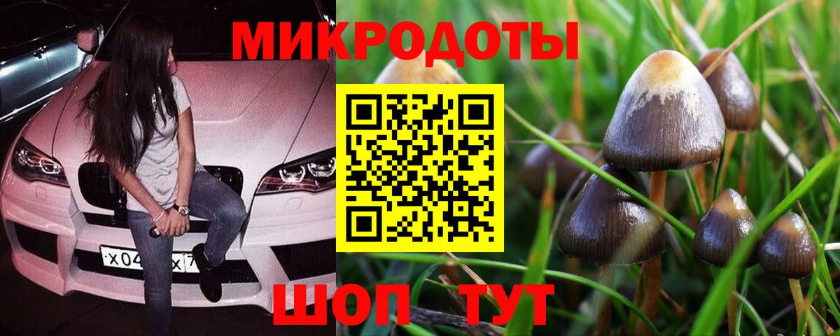 Галлюциногенные грибы ЛСД Самара