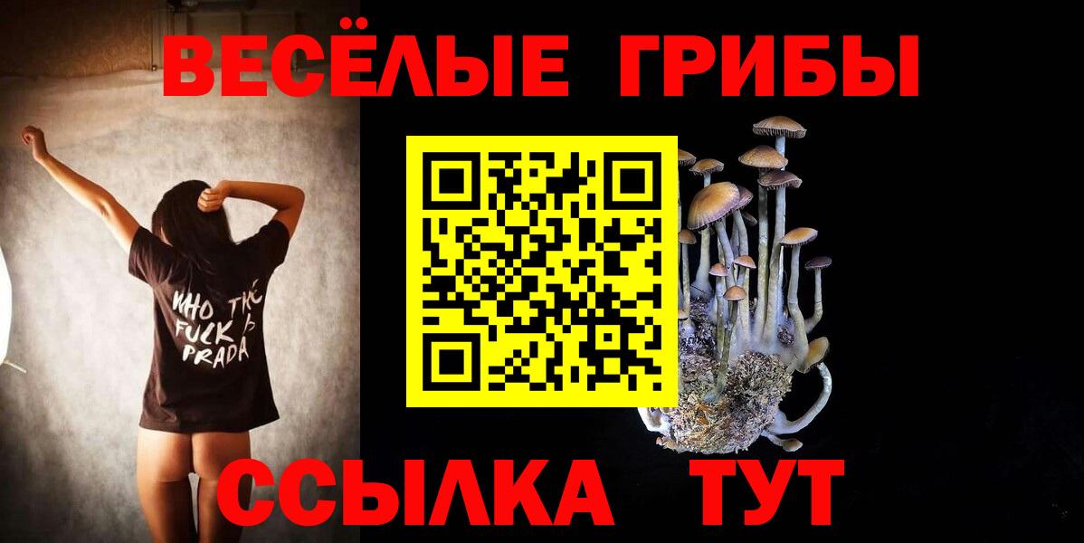 Псилоцибиновые грибы мухоморы  Вход с VPN  Самара  Галлюциногенные грибы мицелий 